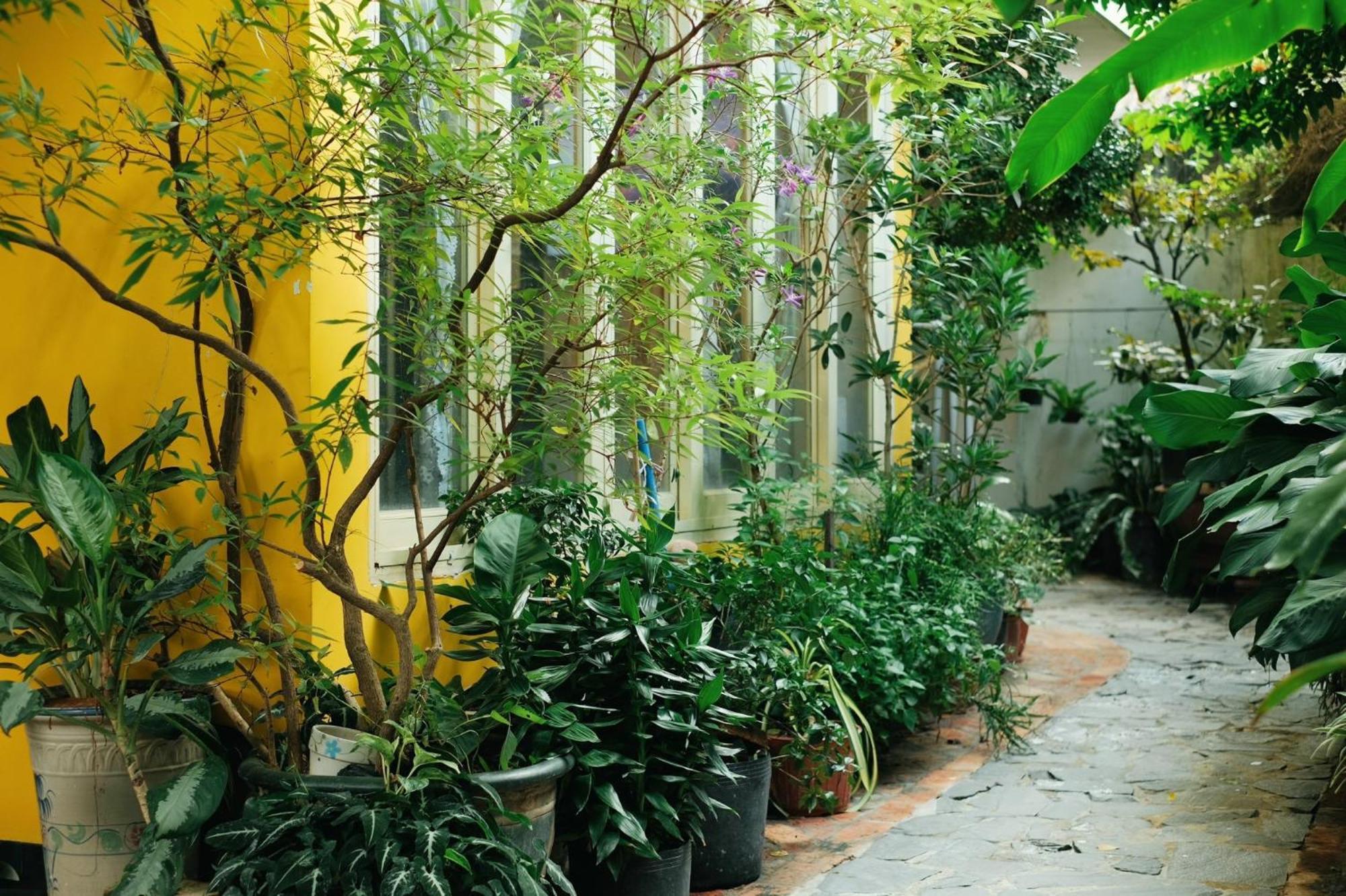 Homestay In Tay Ninh ภายนอก รูปภาพ